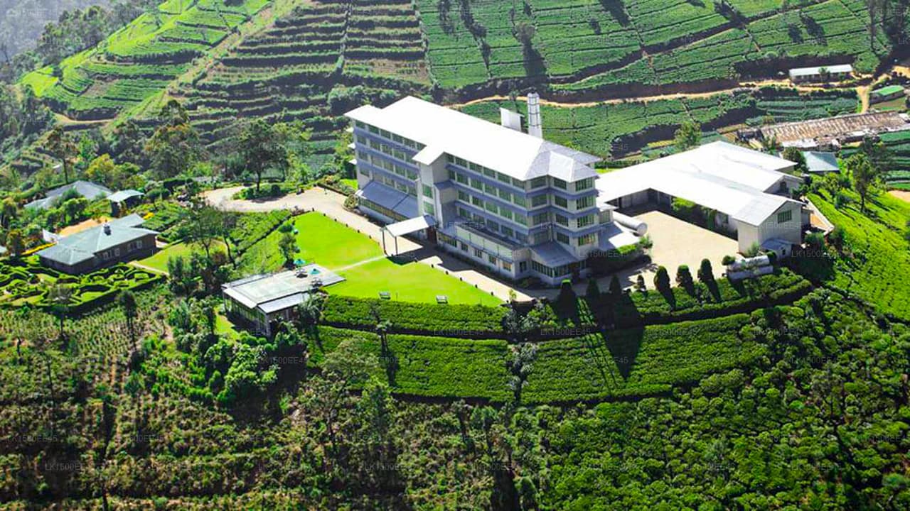 Colonial Tea Factory Estate