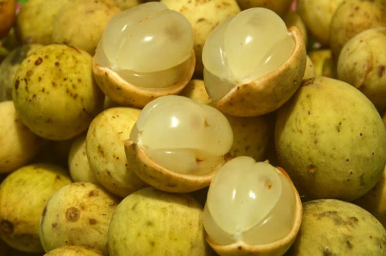 Gaduguda Fruit