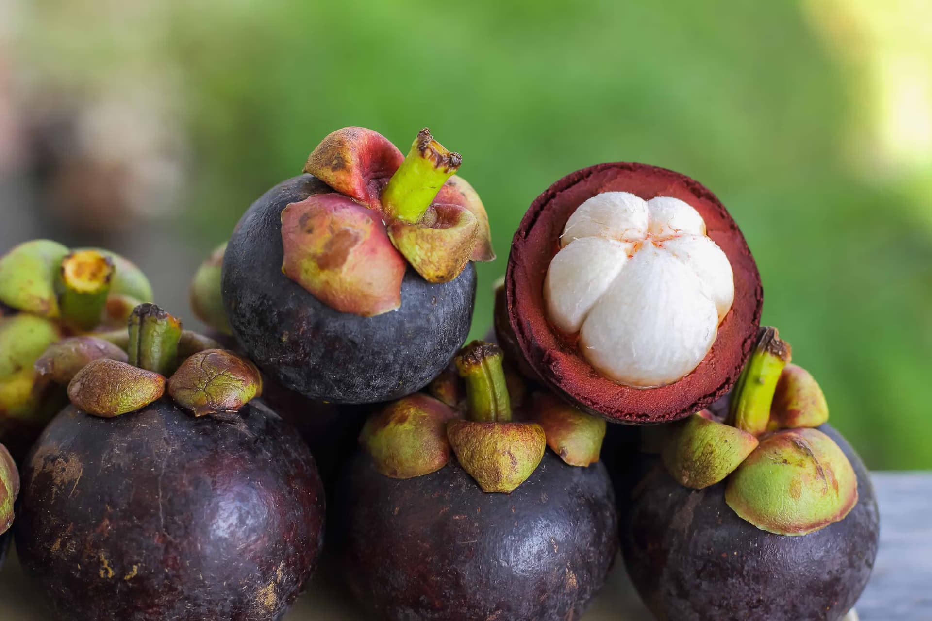 Fresh Mangosteen