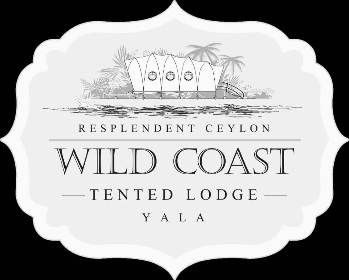 Wild Coast Tented Lodge